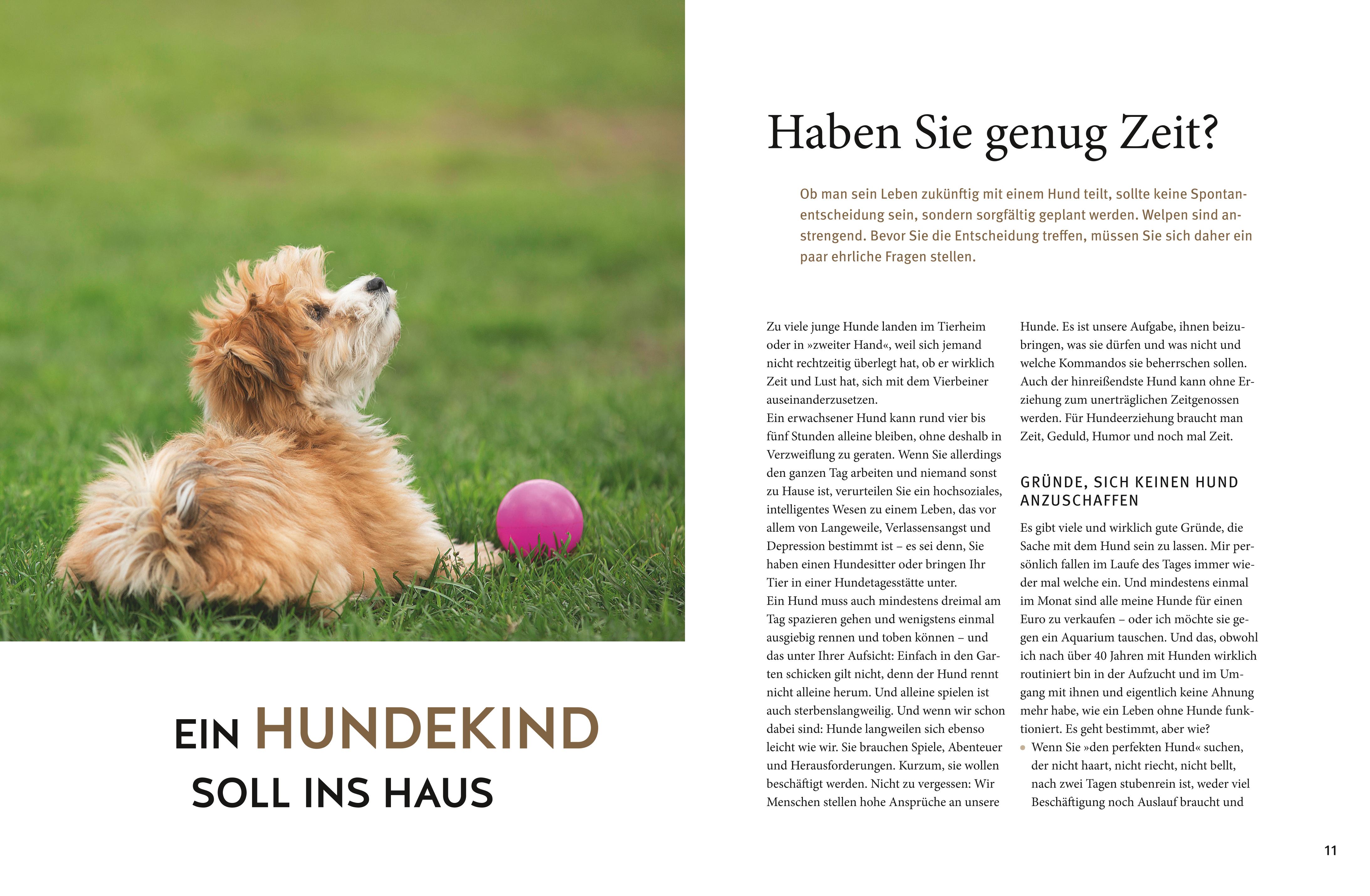 9783833857249_innenansicht_03 9783833857249_innenansicht_03.jpg