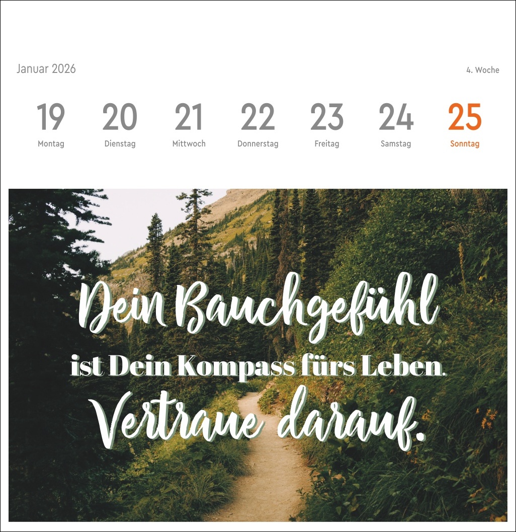 9783756412617_innenansicht_04.jpg