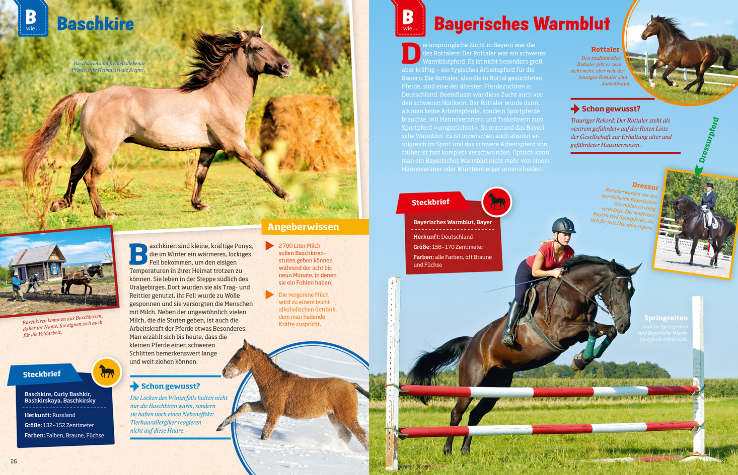 9783788621865_innenansicht_05.jpg