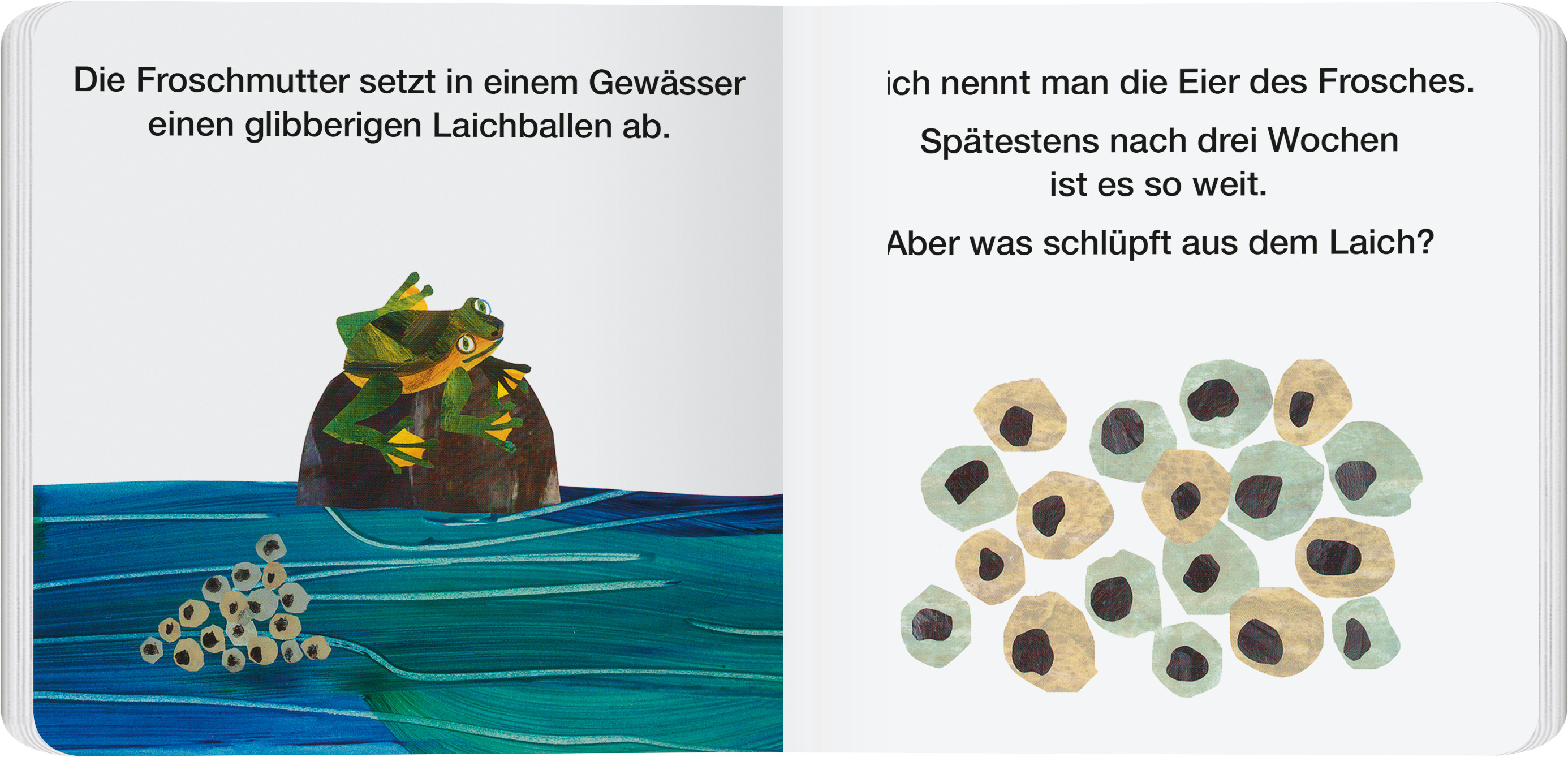 9783836962995_innenansicht_01.jpg