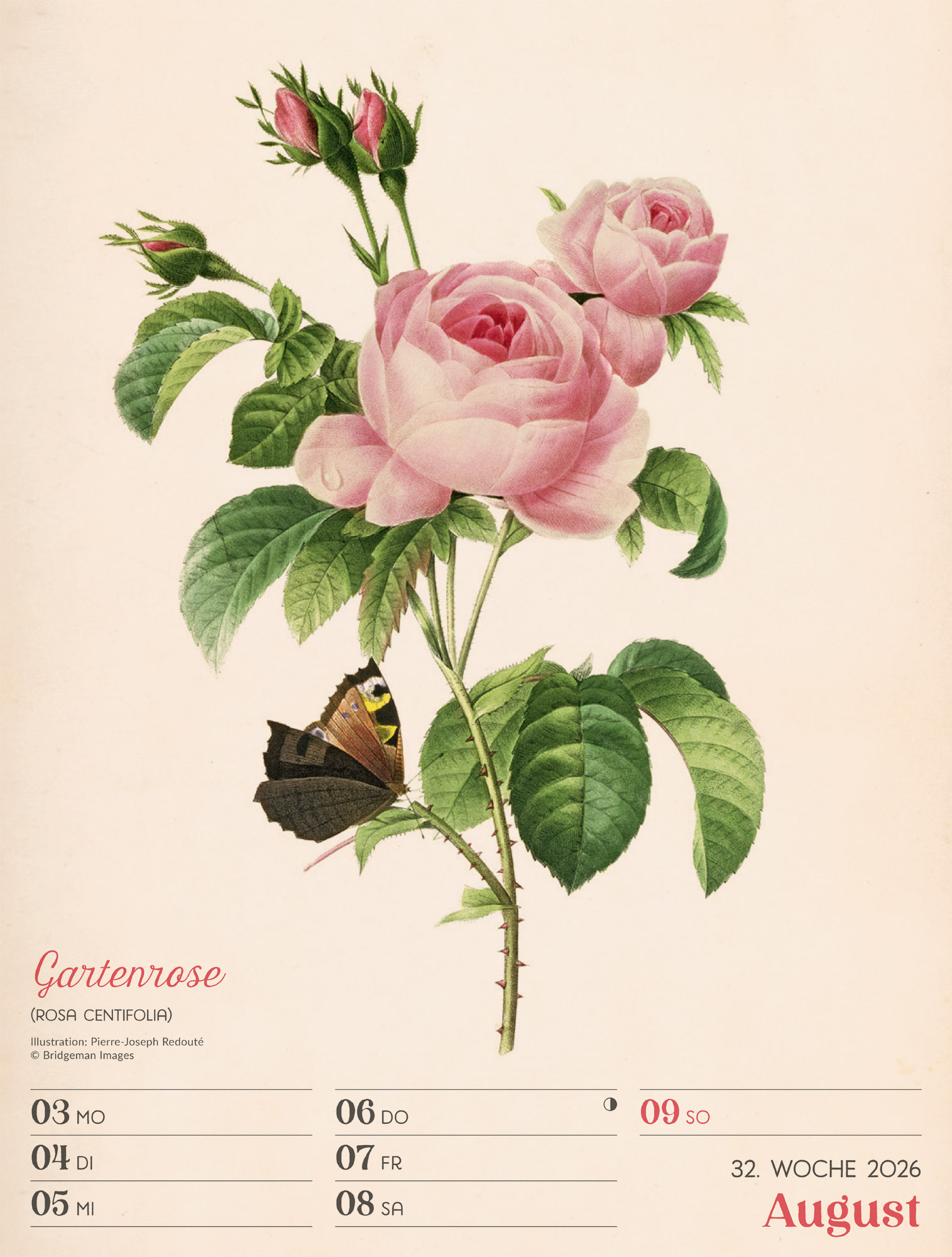 9783838436128_innenansicht_35 9783838436128_innenansicht_35.jpg