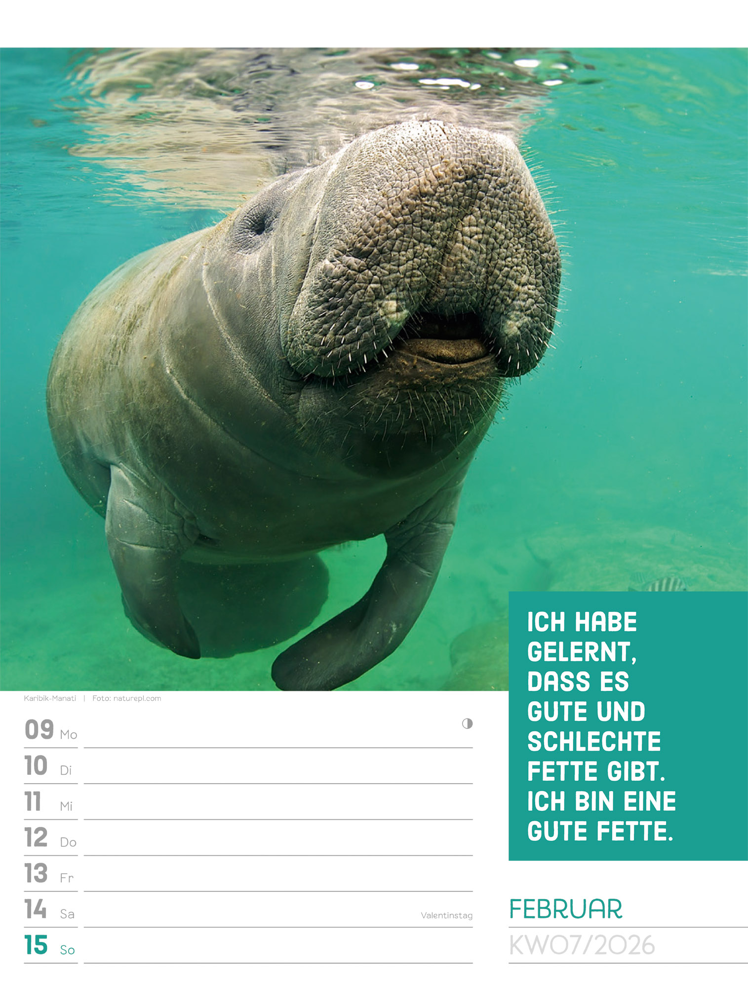 9783838426969_innenansicht_10.jpg