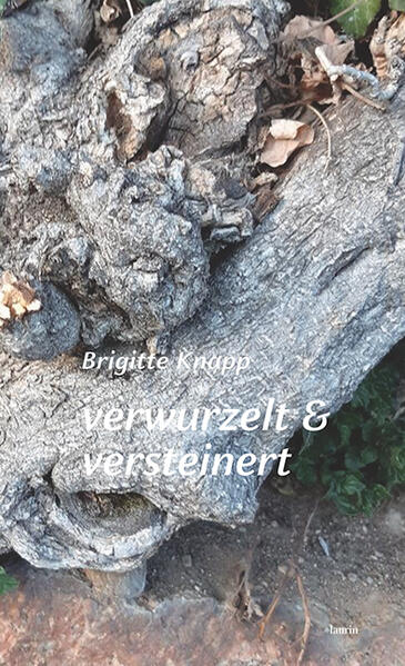 9783903539433