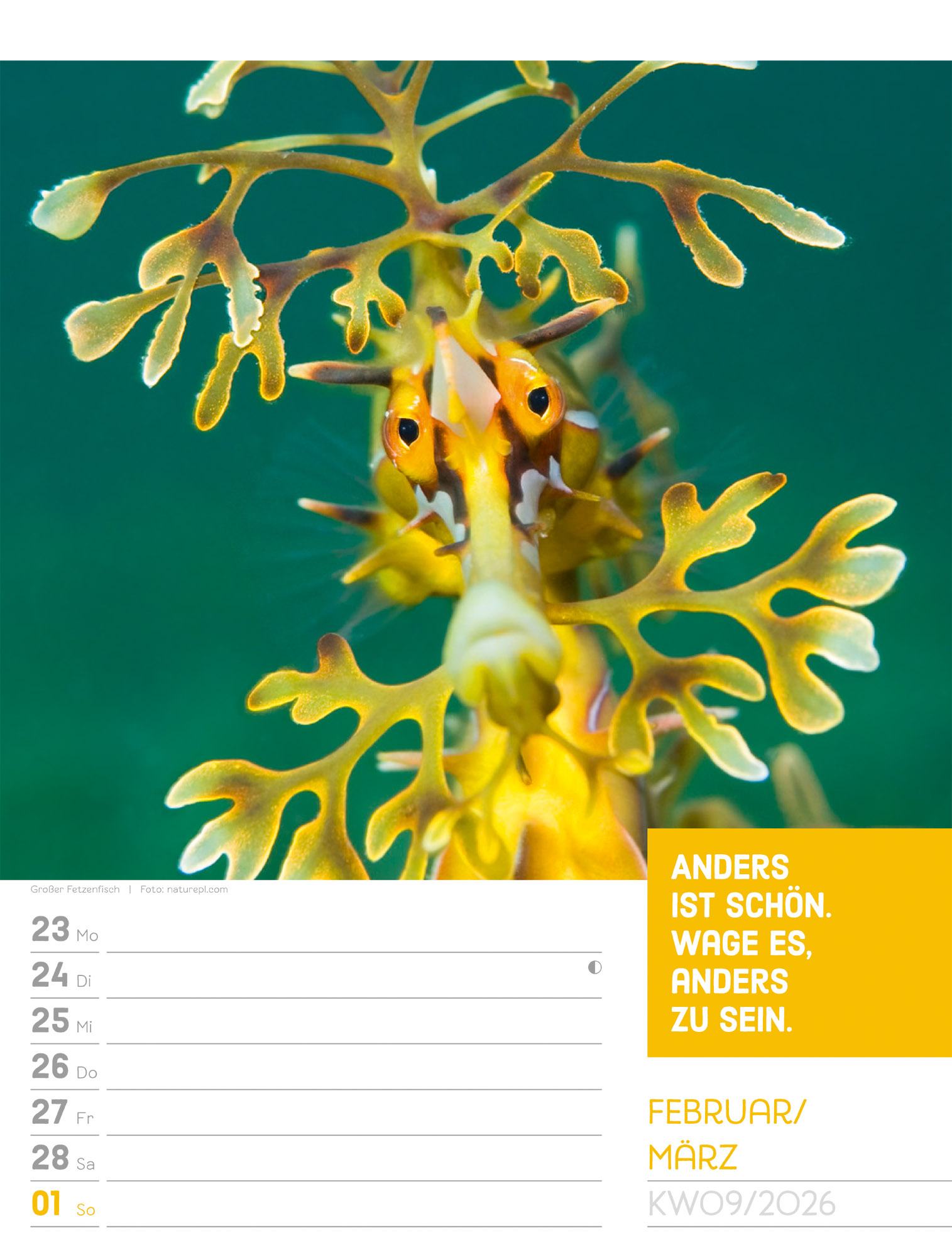 9783838426969_innenansicht_12 9783838426969_innenansicht_12.jpg