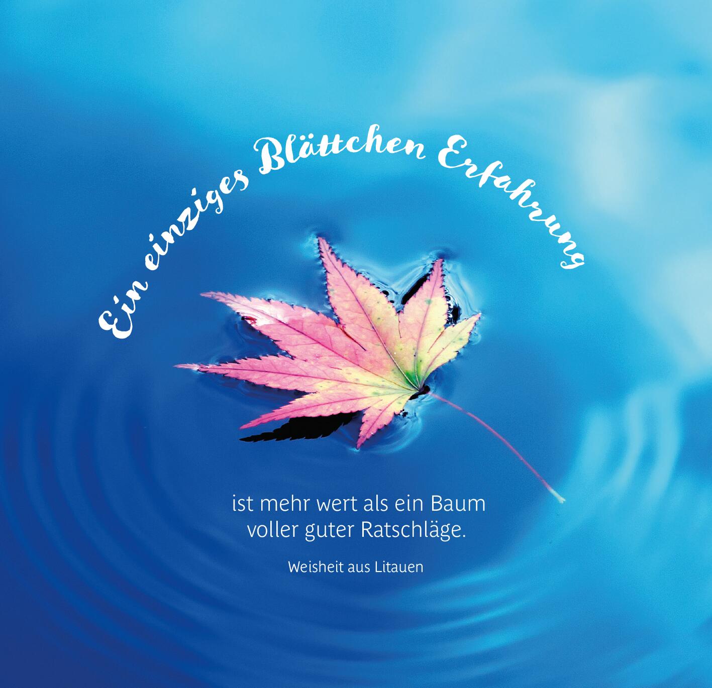 9783845849638_innenansicht_02.jpg