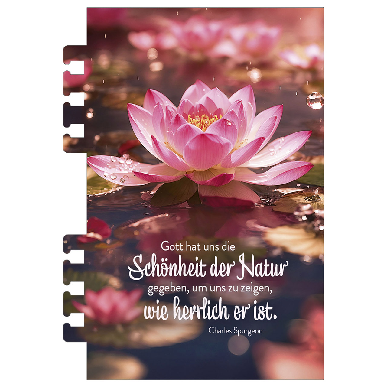 9783754869369_innenansicht_15 9783754869369_innenansicht_15.jpg