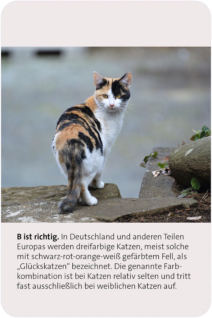 9783964553416_innenansicht_08.jpg