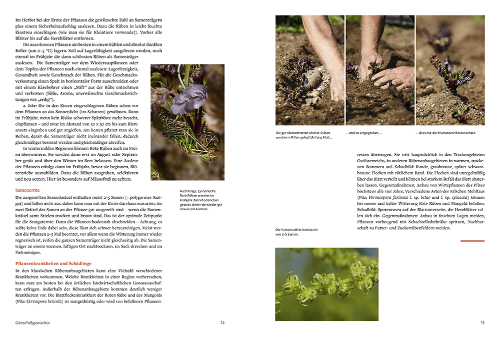 9783706629997_innenansicht_07 9783706629997_innenansicht_07.jpg