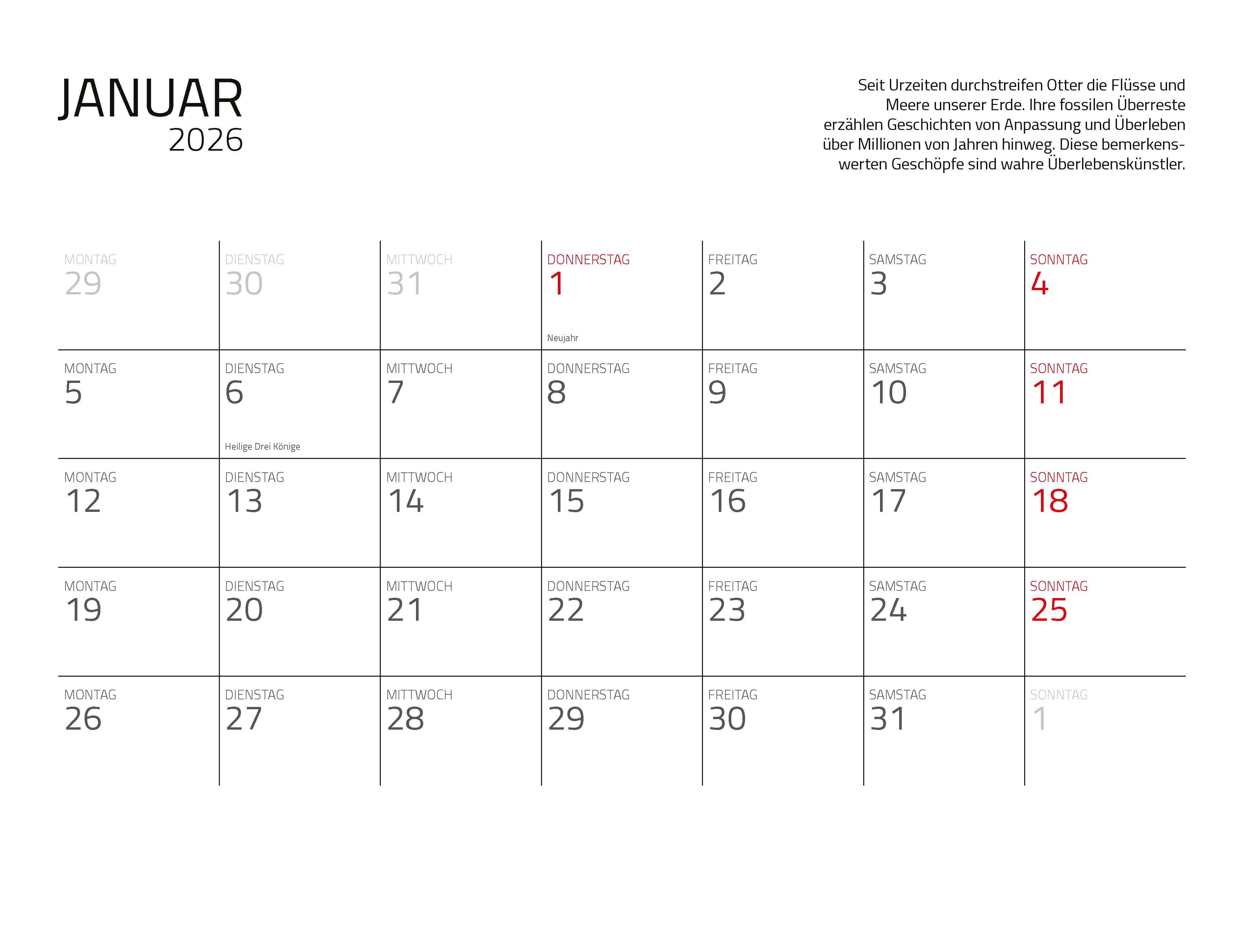 9783966649964_innenansicht_02 9783966649964_innenansicht_02.jpg