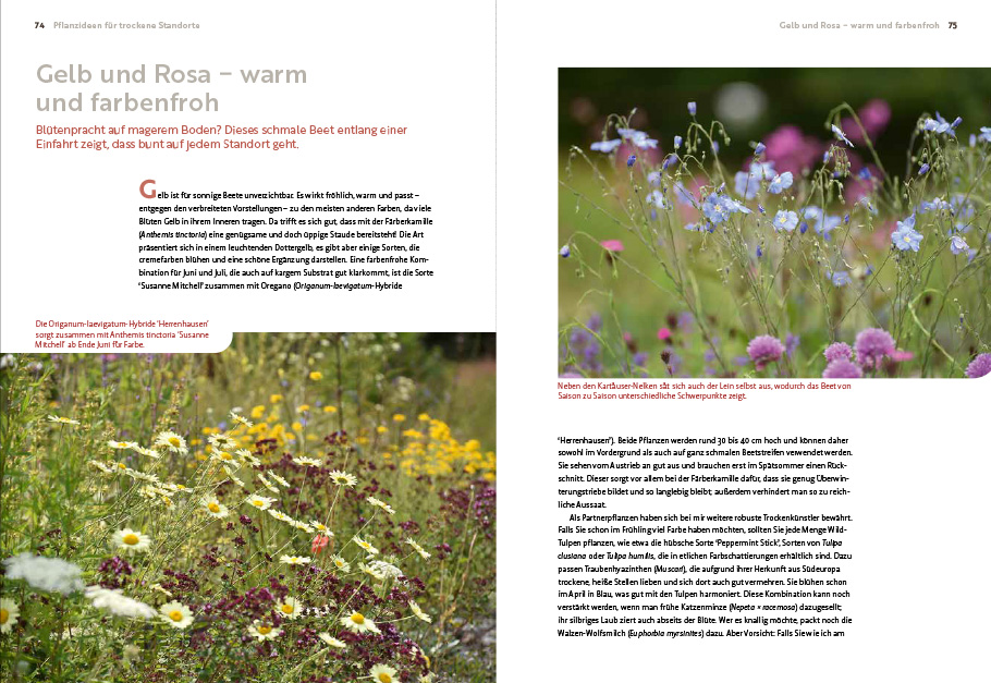 9783818617653_innenansicht_04 9783818617653_innenansicht_04.jpg