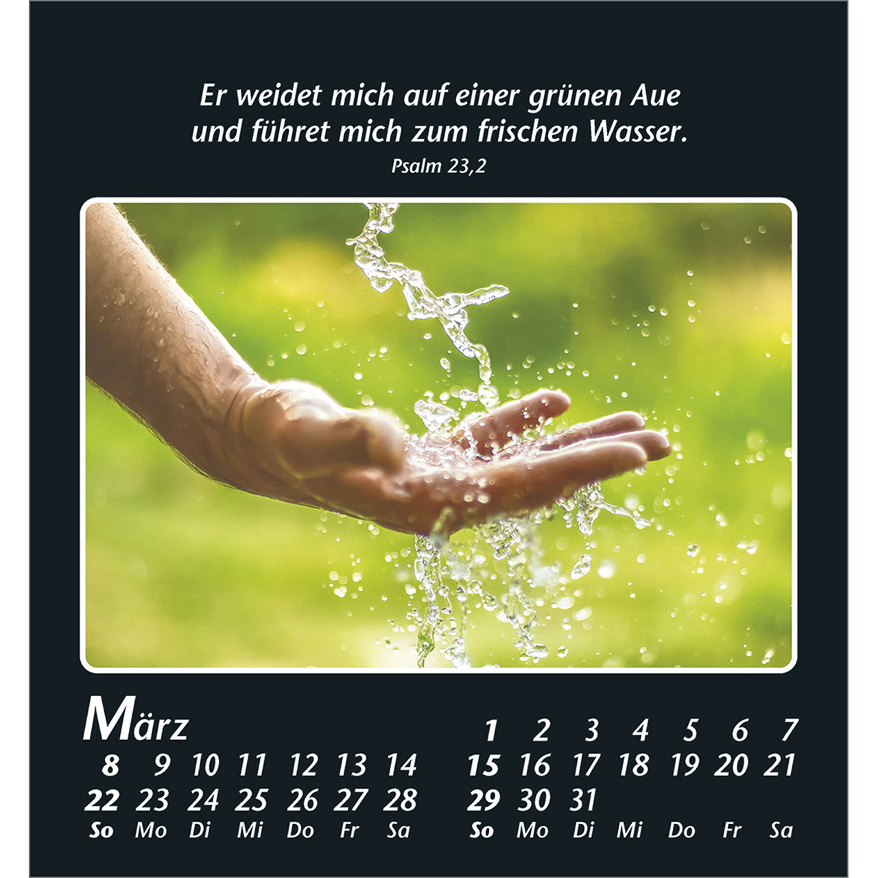 9783754880067_innenansicht_03.jpg