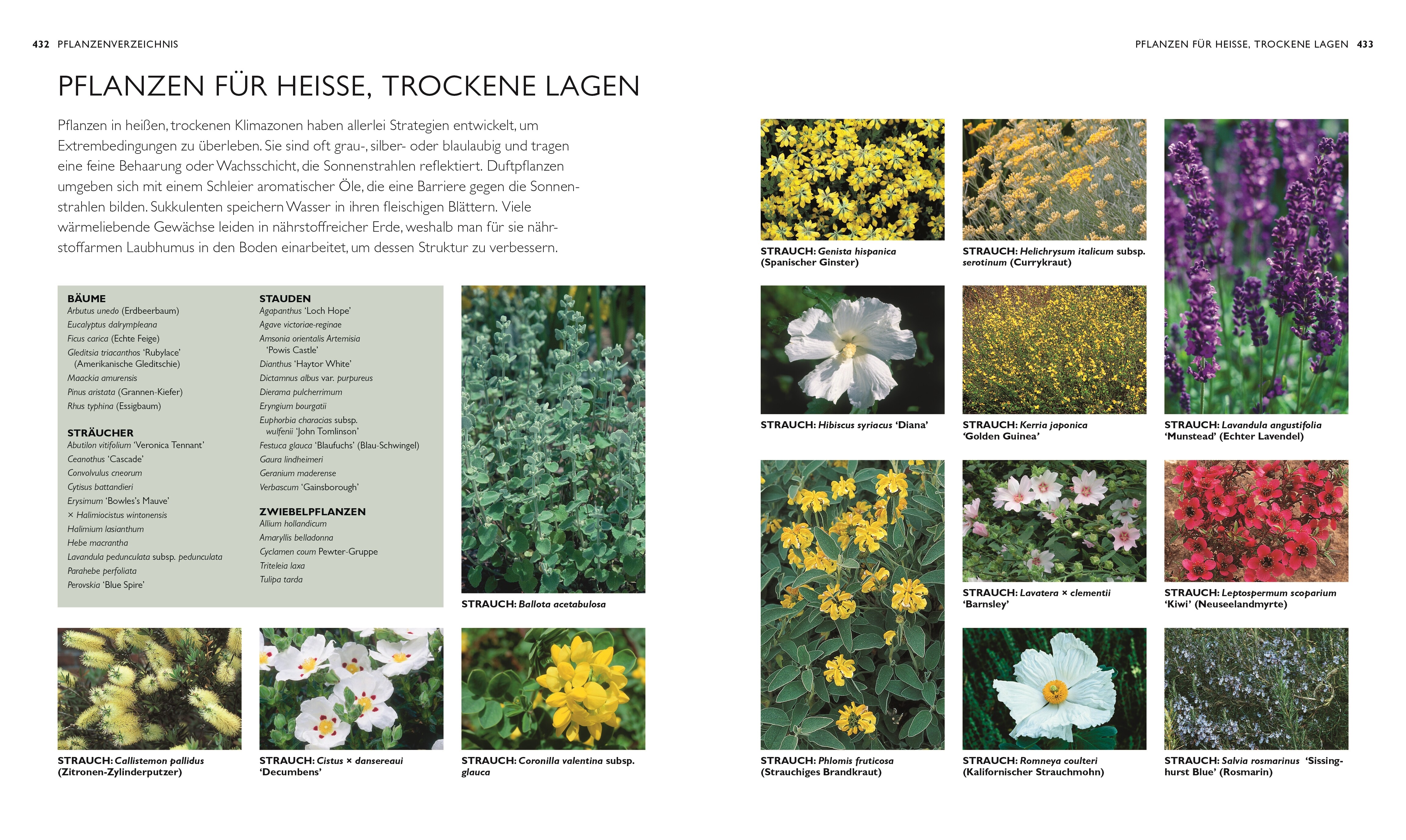 9783831046201_innenansicht_08 9783831046201_innenansicht_08.jpg