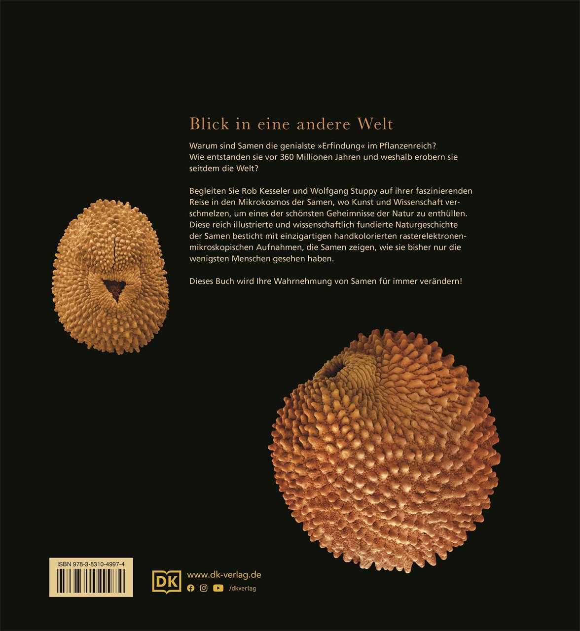 9783831049974_BC 9783831049974_BC.jpg