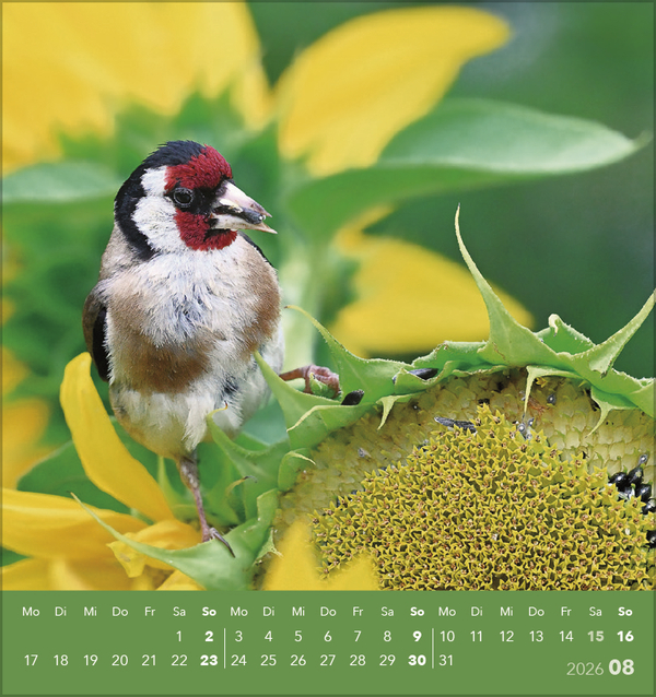 9783731890225_innenansicht_08 9783731890225_innenansicht_08.jpg