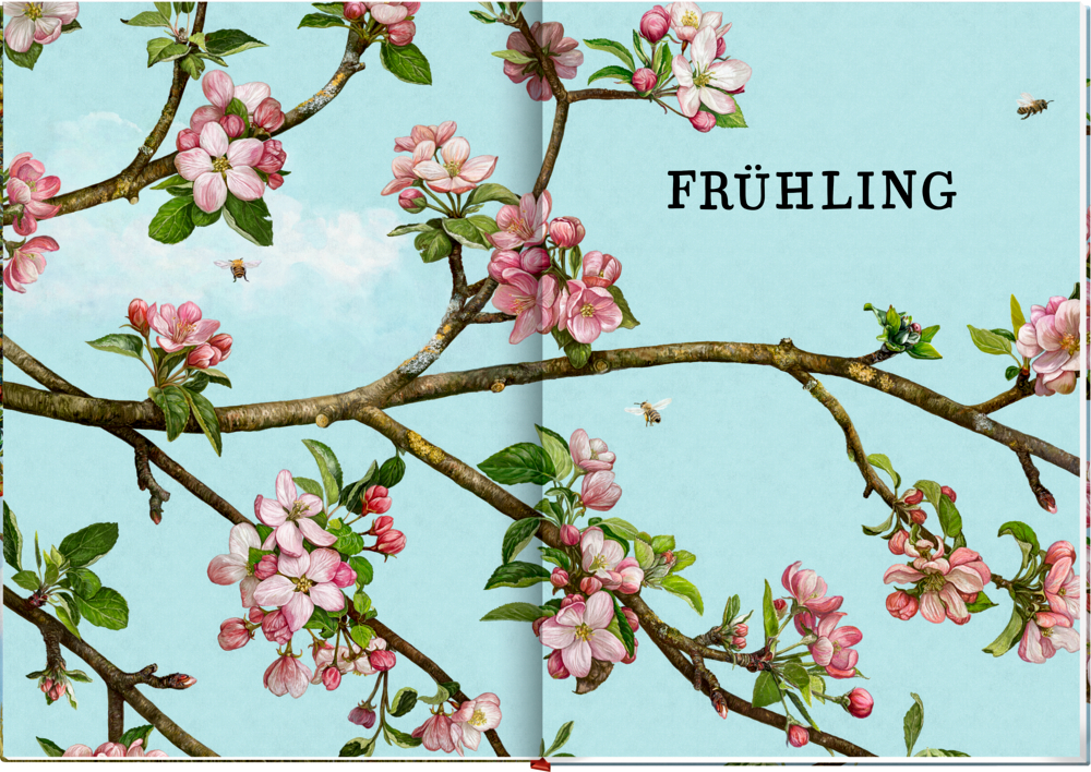 9783649637752_innenansicht_05 9783649637752_innenansicht_05.jpg