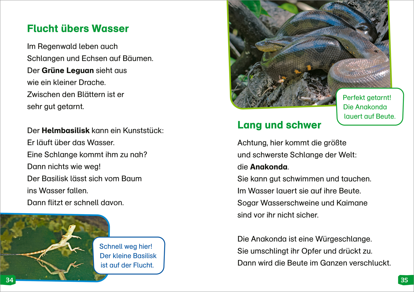 9783788677367_innenansicht_03.jpg