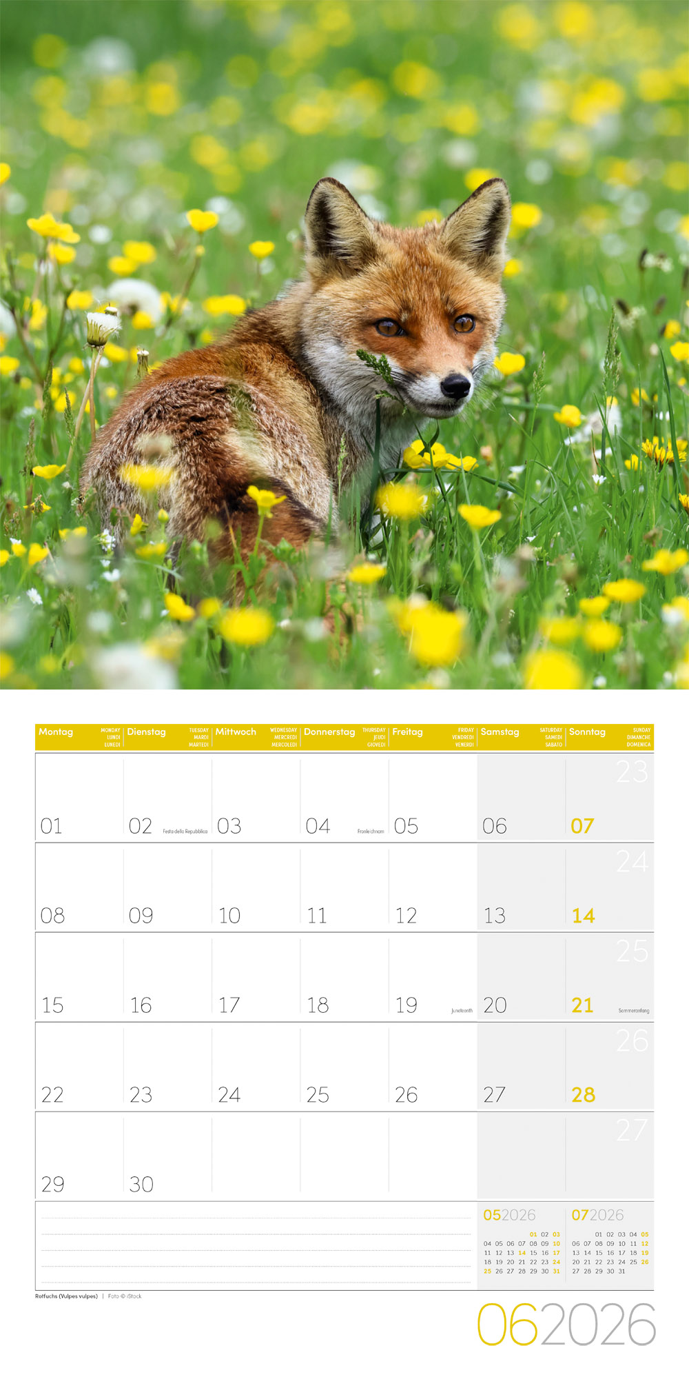 9783838446264_innenansicht_06 9783838446264_innenansicht_06.jpg