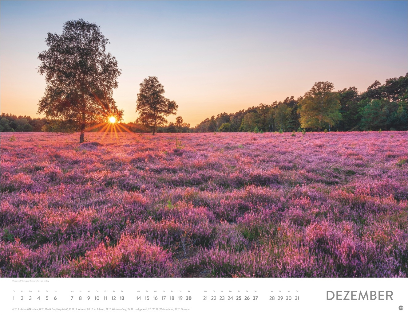 9783756414116_innenansicht_12 9783756414116_innenansicht_12.jpg