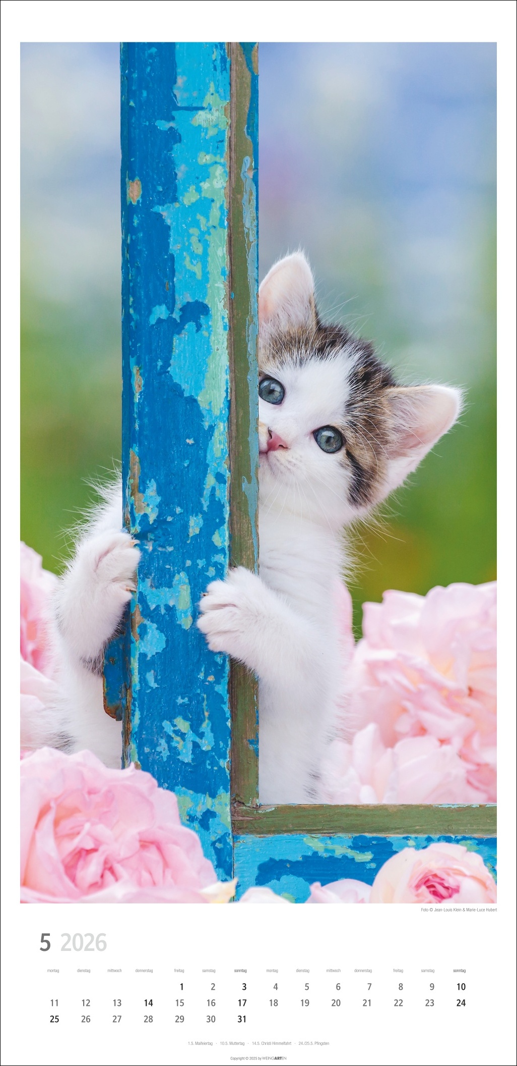 9783839903025_innenansicht_05 9783839903025_innenansicht_05.jpg