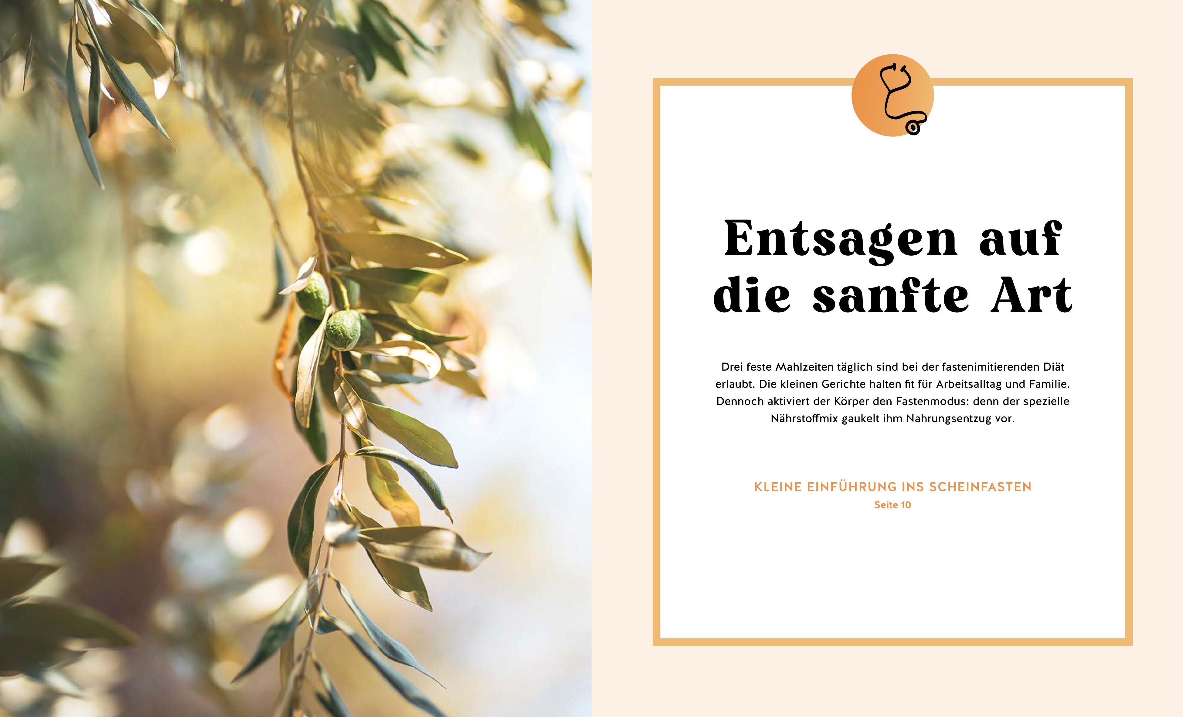 9783833889691_innenansicht_02.jpg