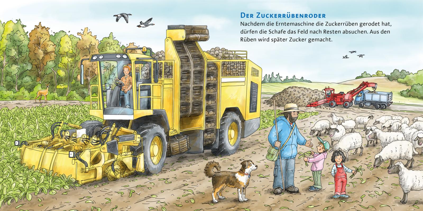 9783551253989_innenansicht_05.jpg