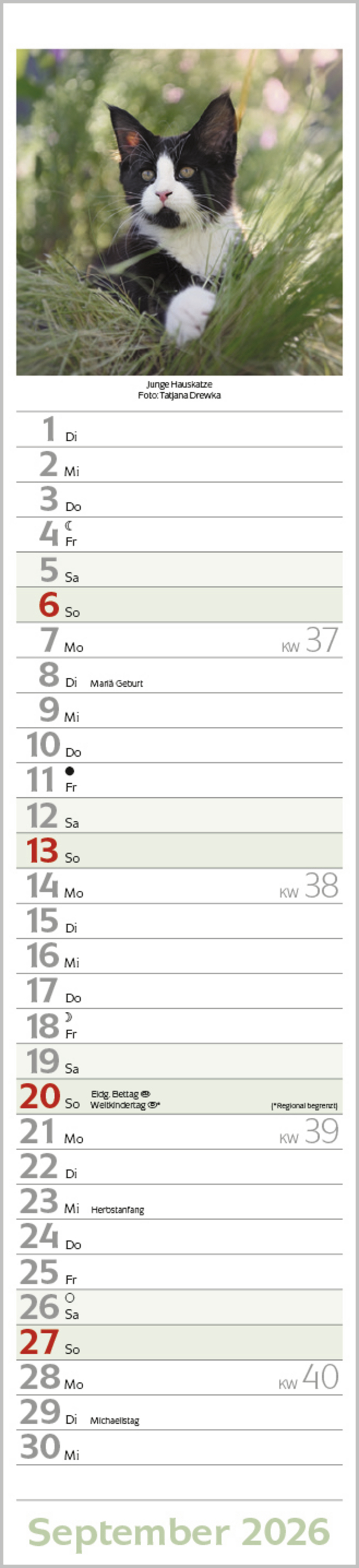 9783731886891_innenansicht_09 9783731886891_innenansicht_09.jpg