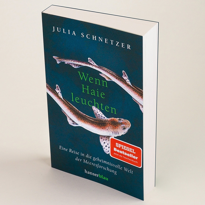 9783446274761_innenansicht_01 9783446274761_innenansicht_01.jpg