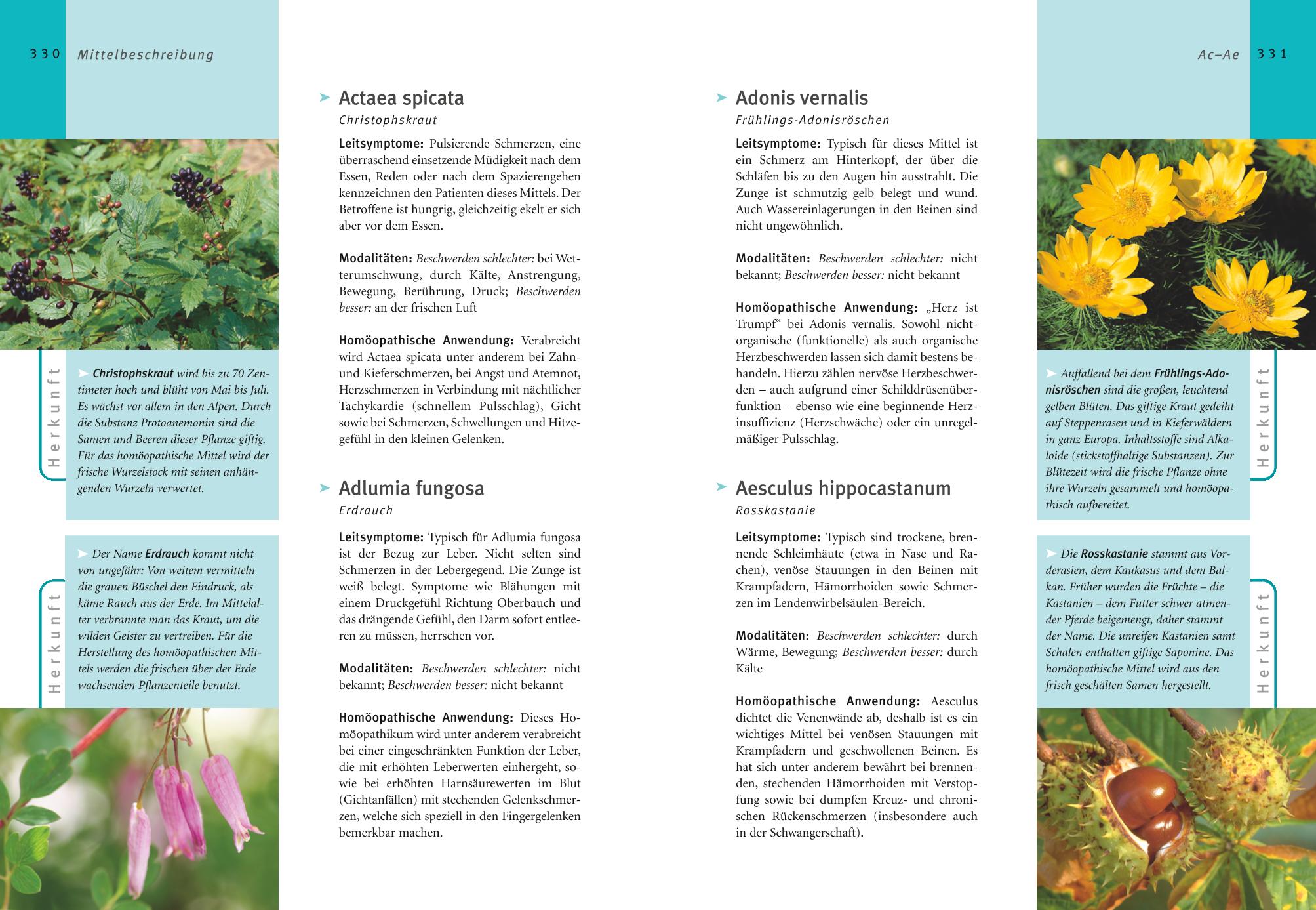 9783833800344_innenansicht_07 9783833800344_innenansicht_07.jpg