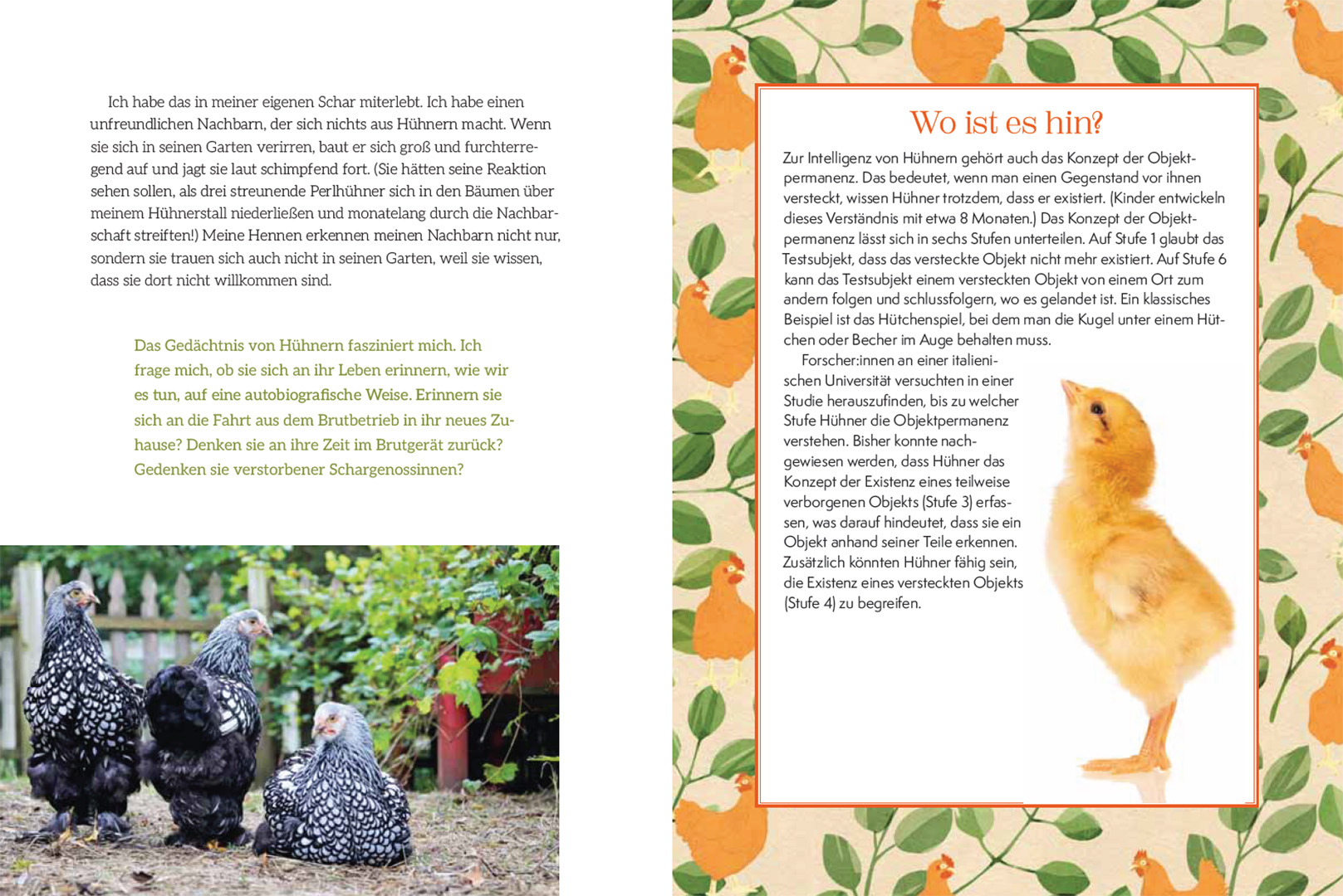 9783258084503_innenansicht_08 9783258084503_innenansicht_08.jpg