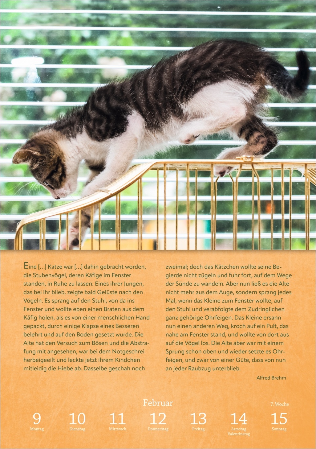 9783840036507_innenansicht_04 9783840036507_innenansicht_04.jpg