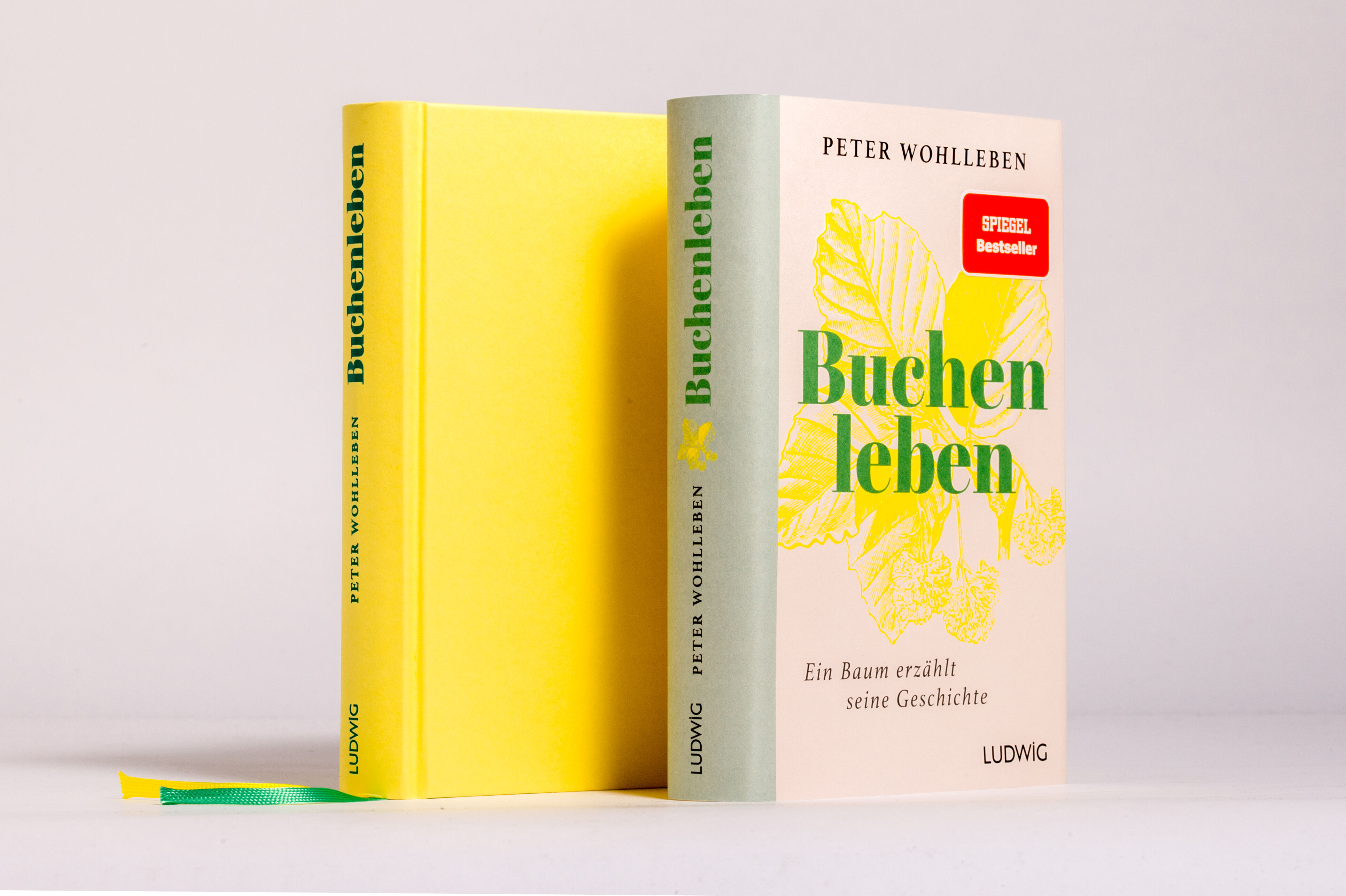 9783453281820_innenansicht_04.jpg