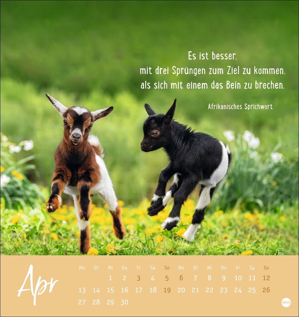 9783756411948_innenansicht_04.jpg