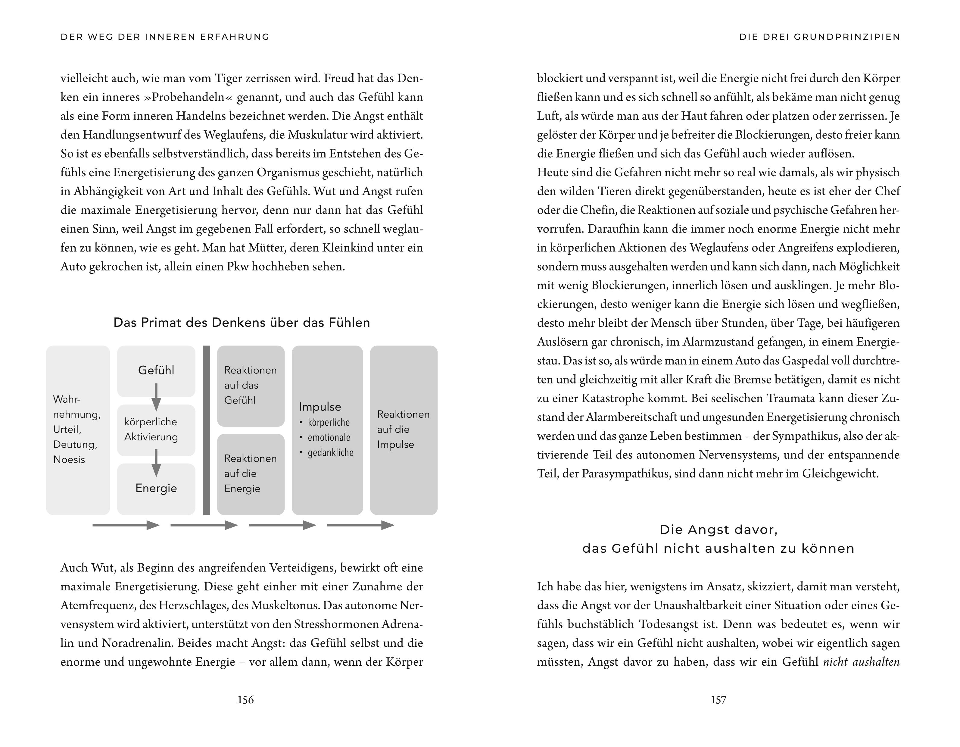 9783833887376_innenansicht_12 9783833887376_innenansicht_12.jpg