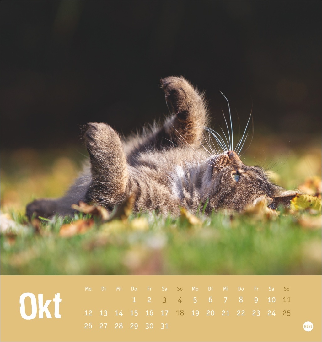 9783756411306_innenansicht_10 9783756411306_innenansicht_10.jpg