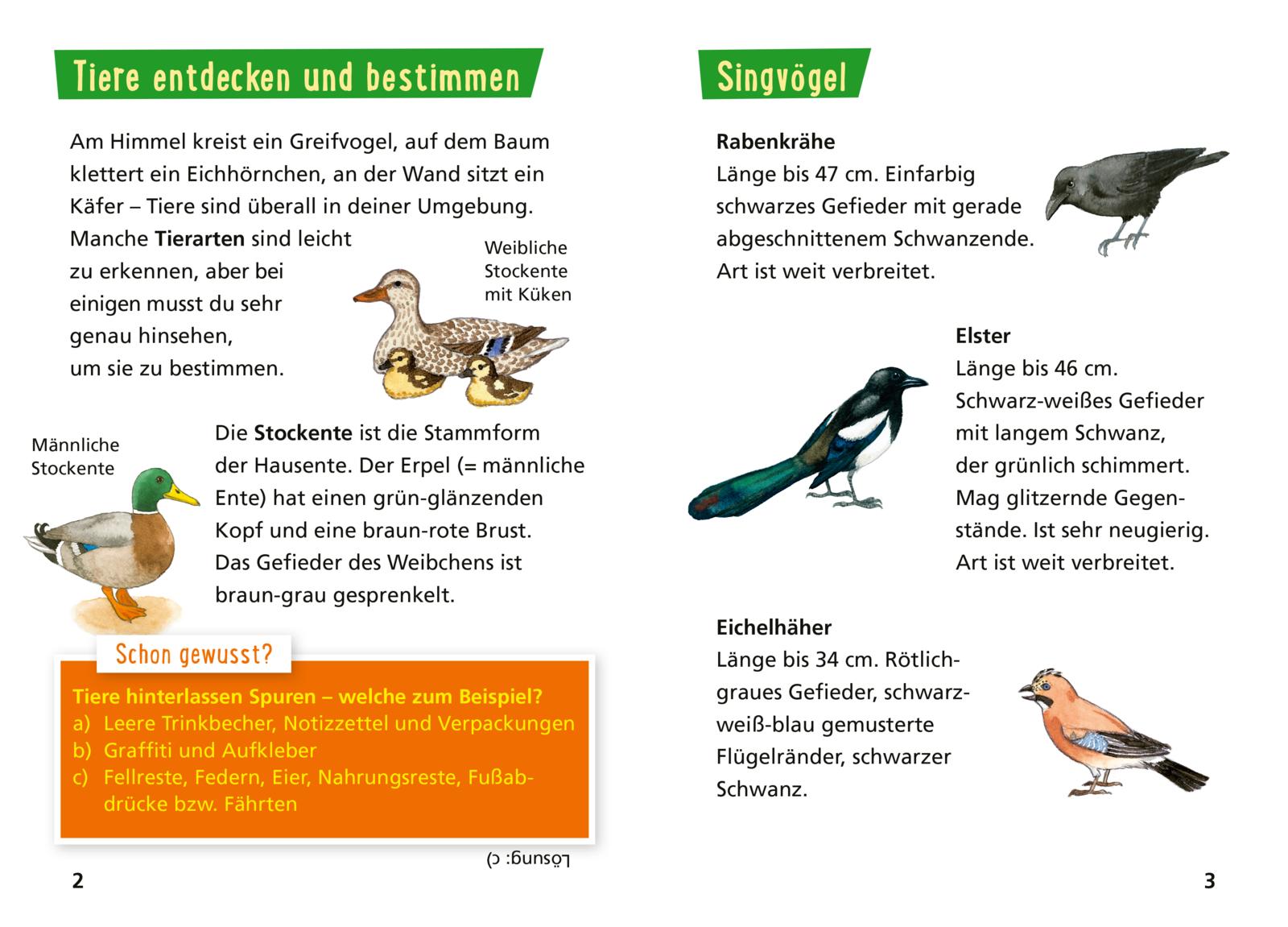 9783551231789_innenansicht_01.jpg