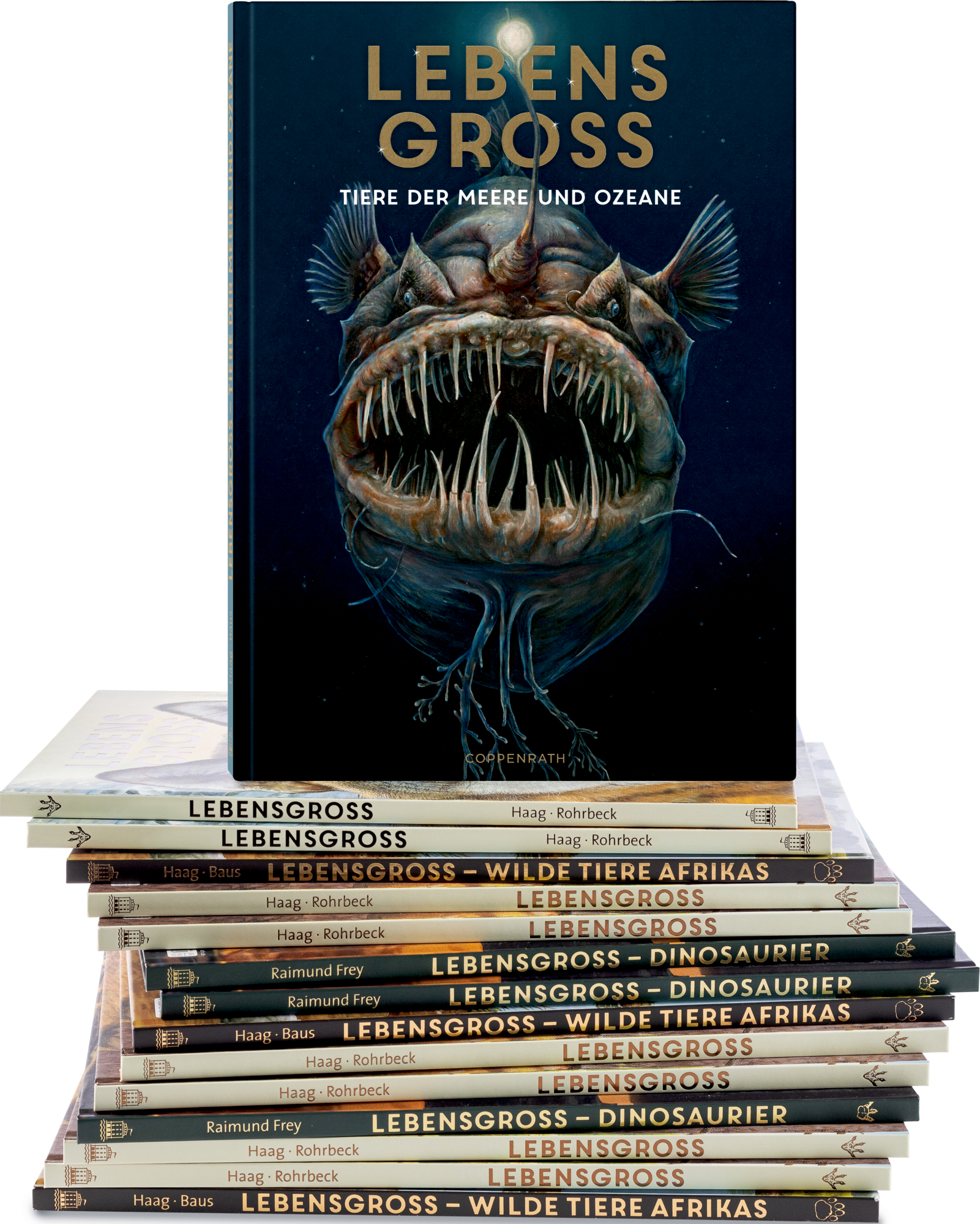 9783649640936_innenansicht_06 9783649640936_innenansicht_06.jpg