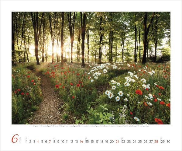 9783731883388_innenansicht_06 9783731883388_innenansicht_06.jpg