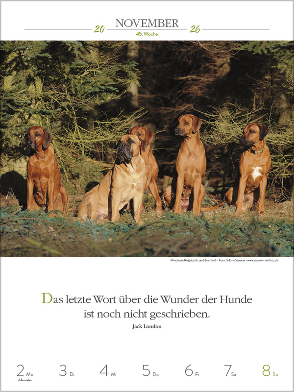 9783731884392_innenansicht_11.jpg