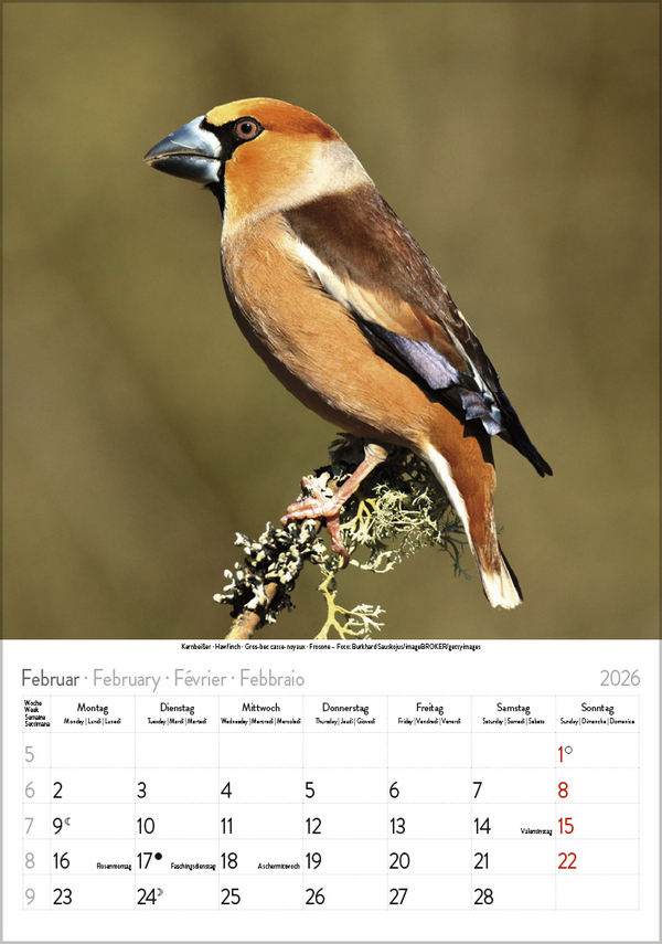 9783731883647_innenansicht_02 9783731883647_innenansicht_02.jpg