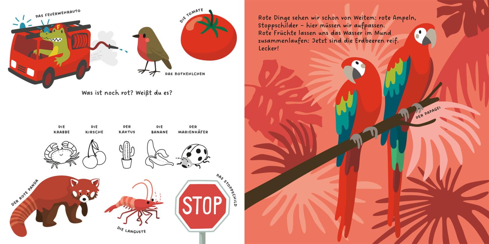 9783551254443_innenansicht_05 9783551254443_innenansicht_05.jpg