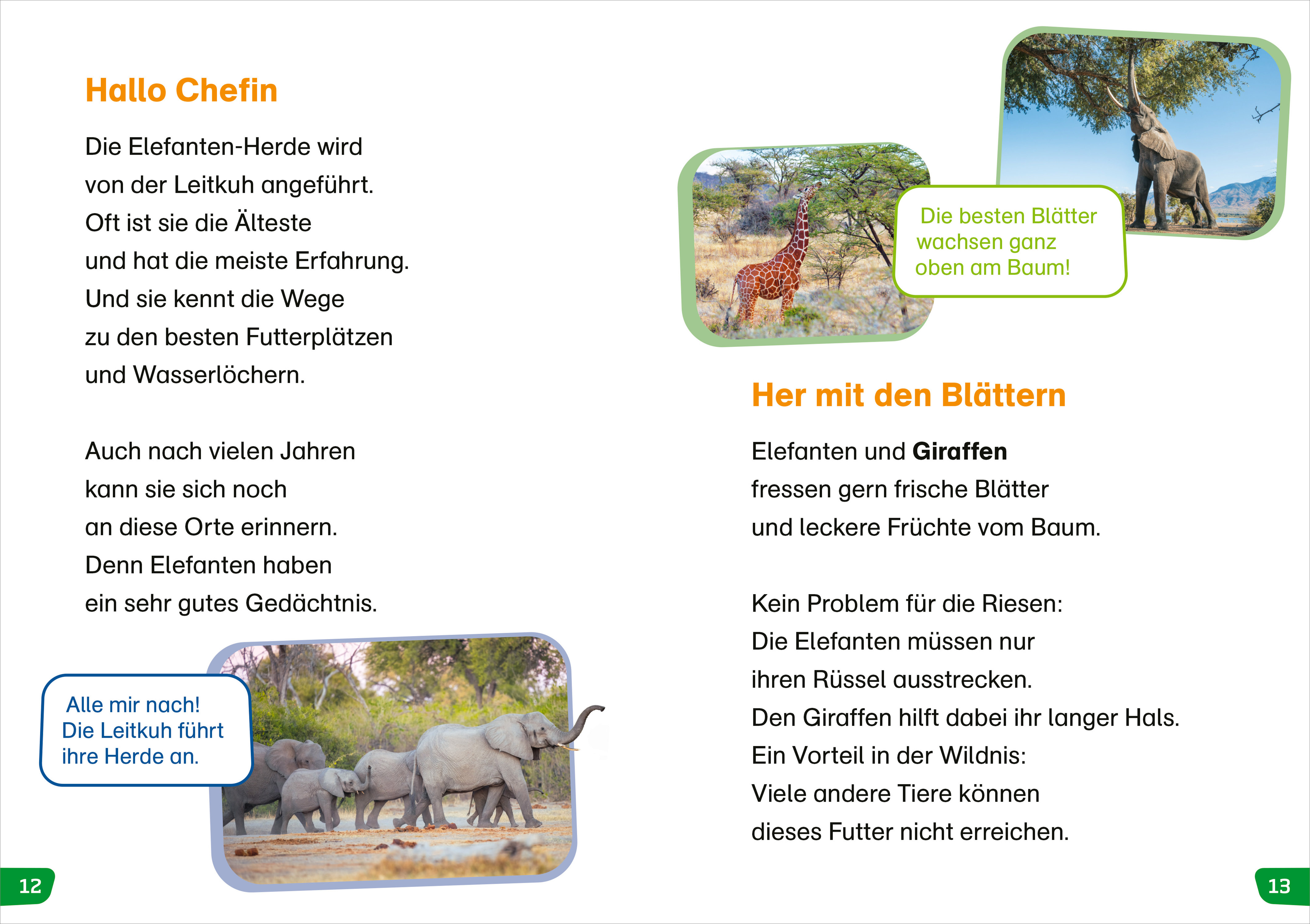 9783788677398_innenansicht_02.jpg