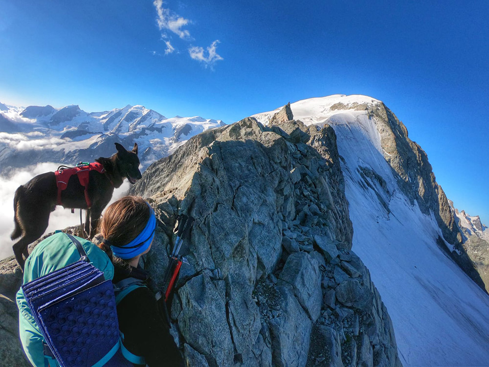 9783702242152_innenansicht_07 9783702242152_innenansicht_07.jpg