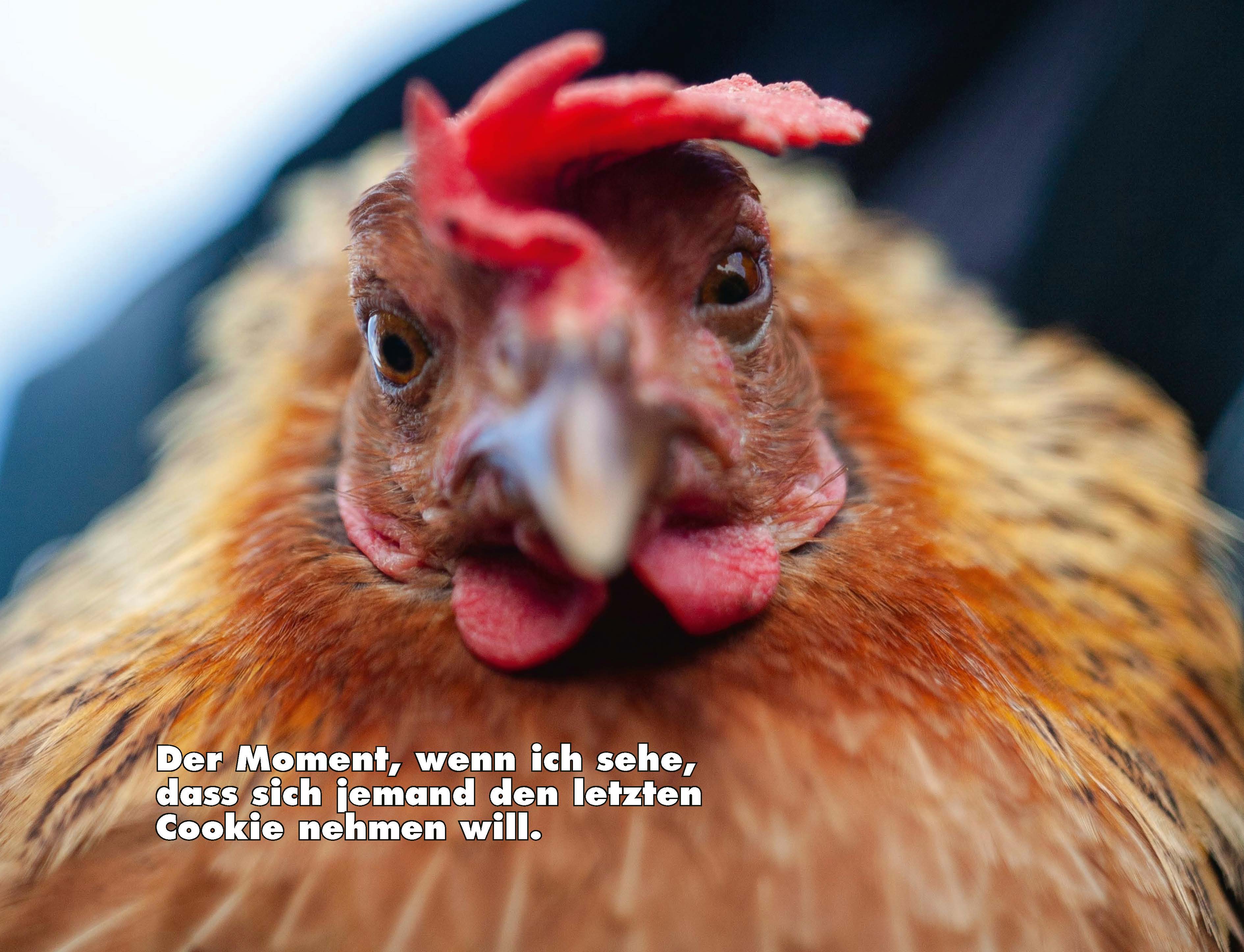9783966649919_innenansicht_11.jpg