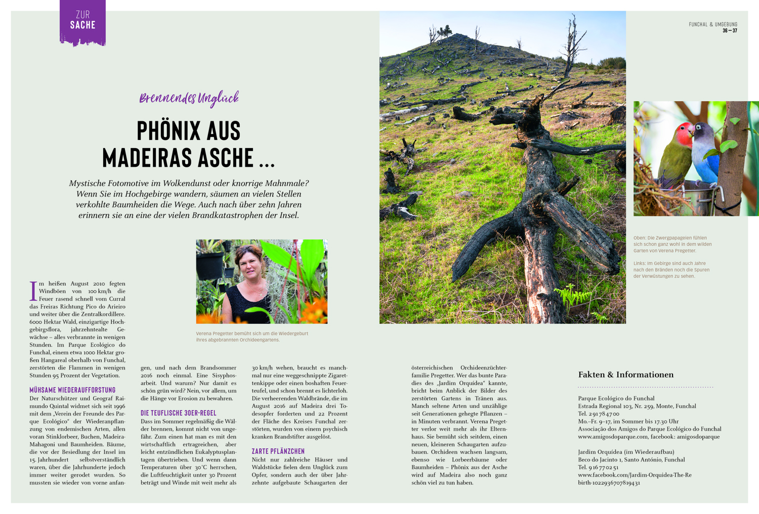 9783616012230_innenansicht_08 9783616012230_innenansicht_08.jpg