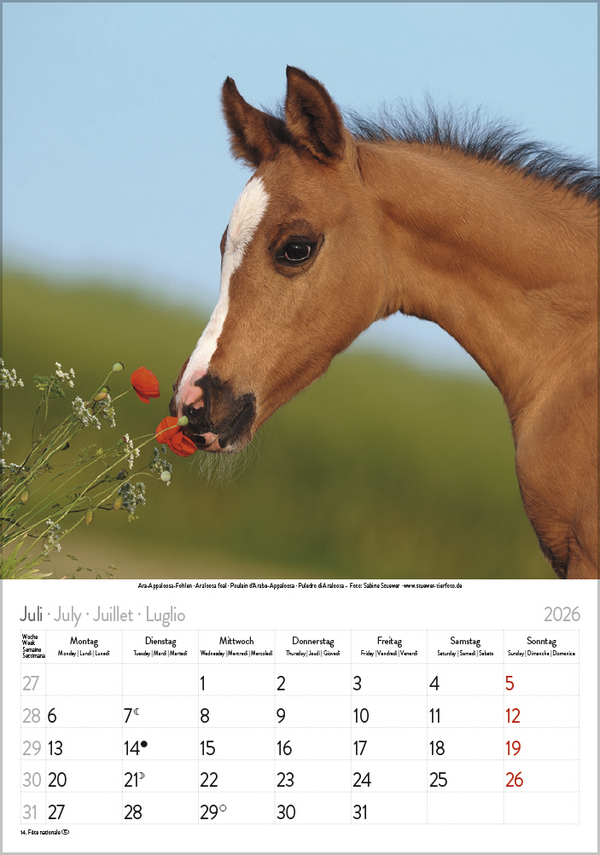 9783731883623_innenansicht_07 9783731883623_innenansicht_07.jpg