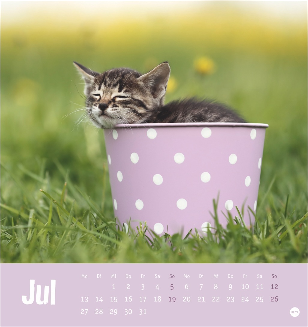 9783756411306_innenansicht_07 9783756411306_innenansicht_07.jpg