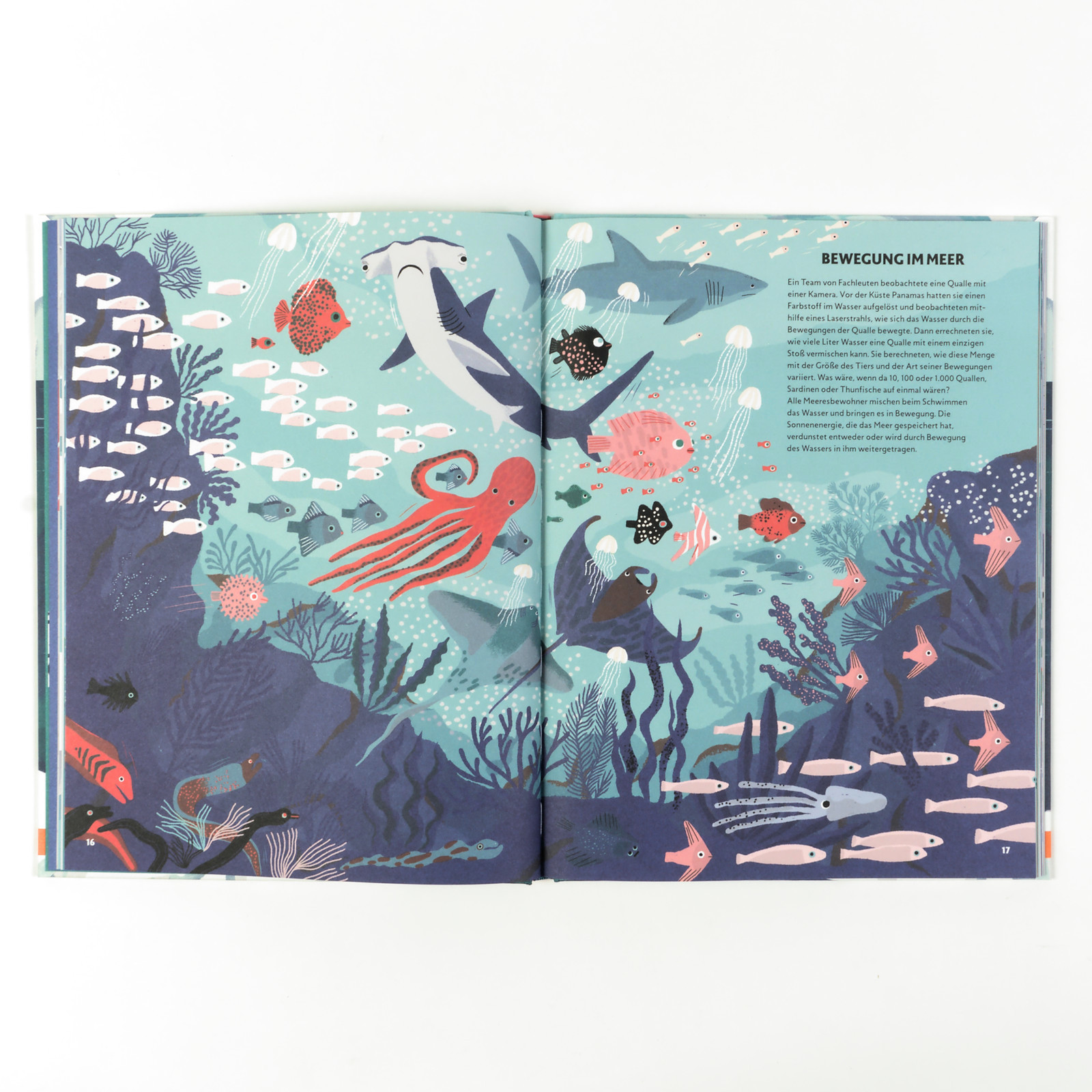 9783407757685_innenansicht_01 9783407757685_innenansicht_01.jpg