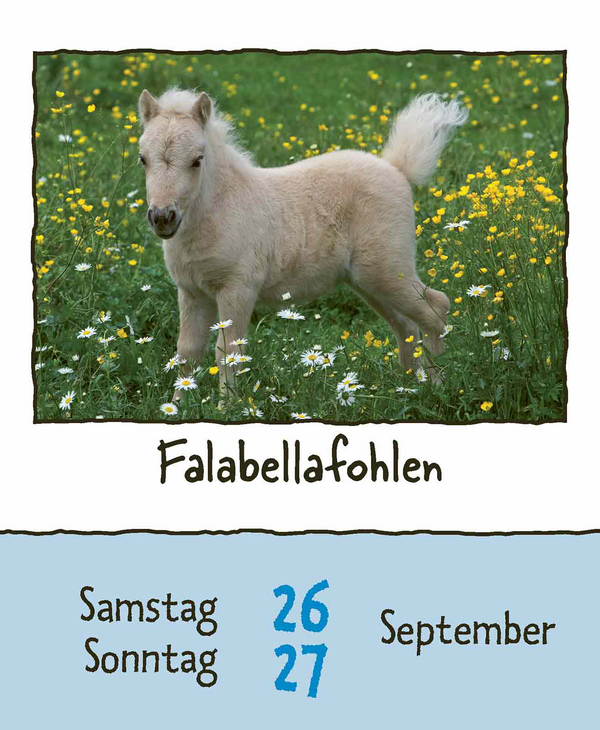 9783731889182_innenansicht_13.jpg