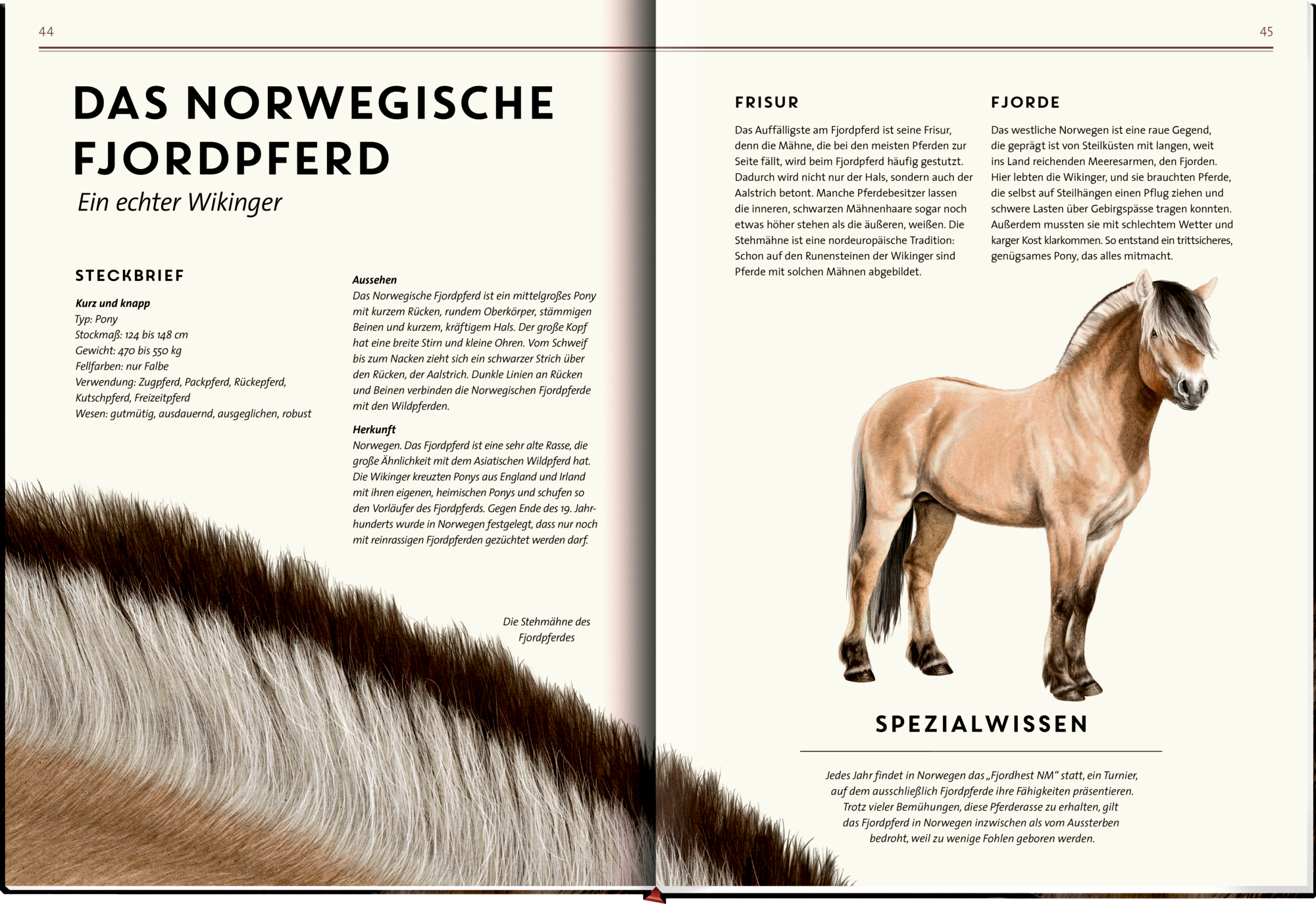 9783649646495_innenansicht_14 9783649646495_innenansicht_14.jpg