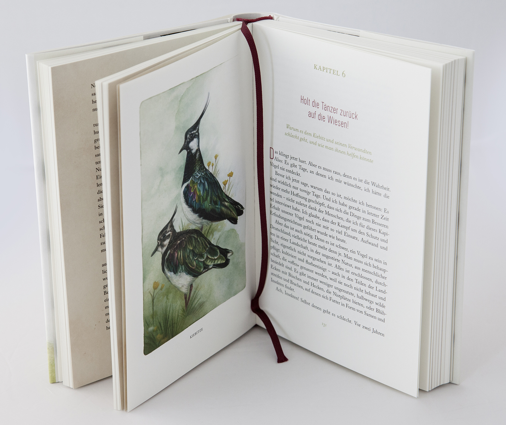 9783431040883_innenansicht_02.jpg 9783431040883_innenansicht_02.jpg